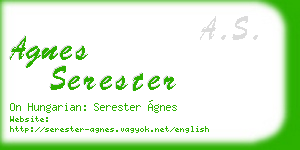 agnes serester business card